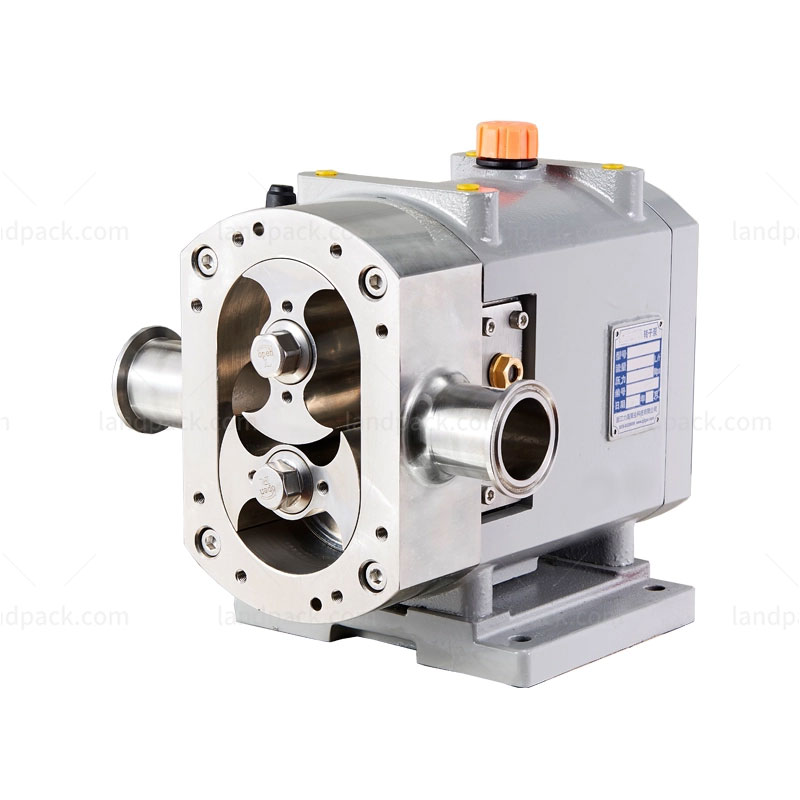 rotor pump