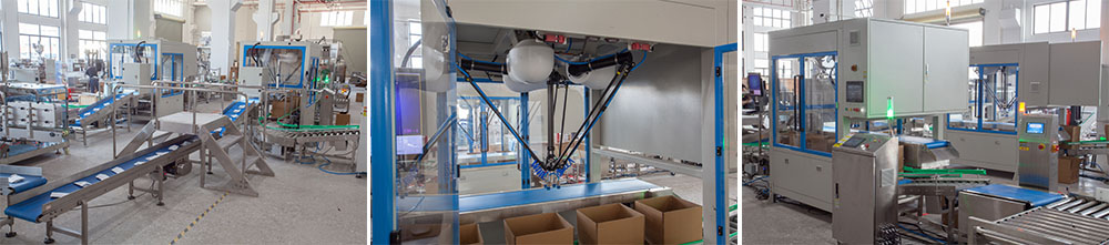 The Ultimate Guide to Advanced Packing Systems: Boosting Efficiency and Reducing Costs