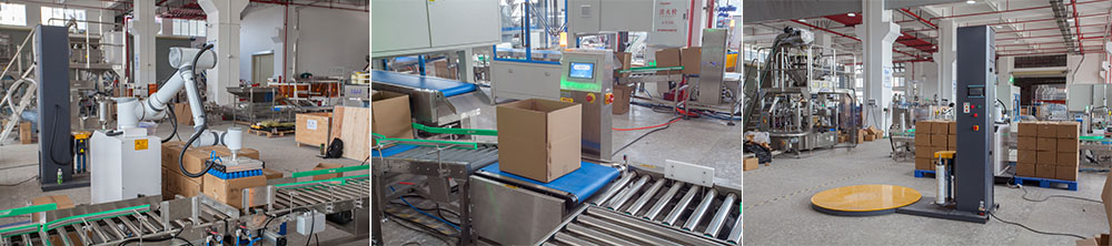 The Ultimate Guide to Advanced Packing Systems: Boosting Efficiency and Reducing Costs