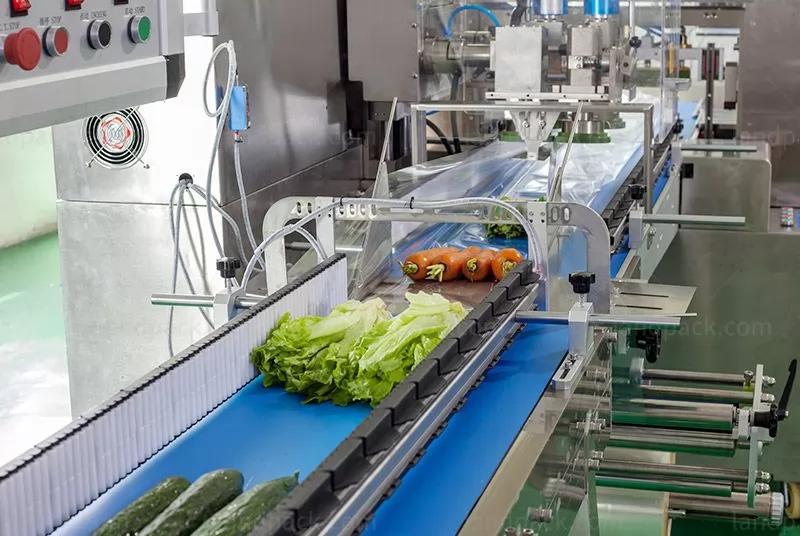 horizontal flow wrap machine