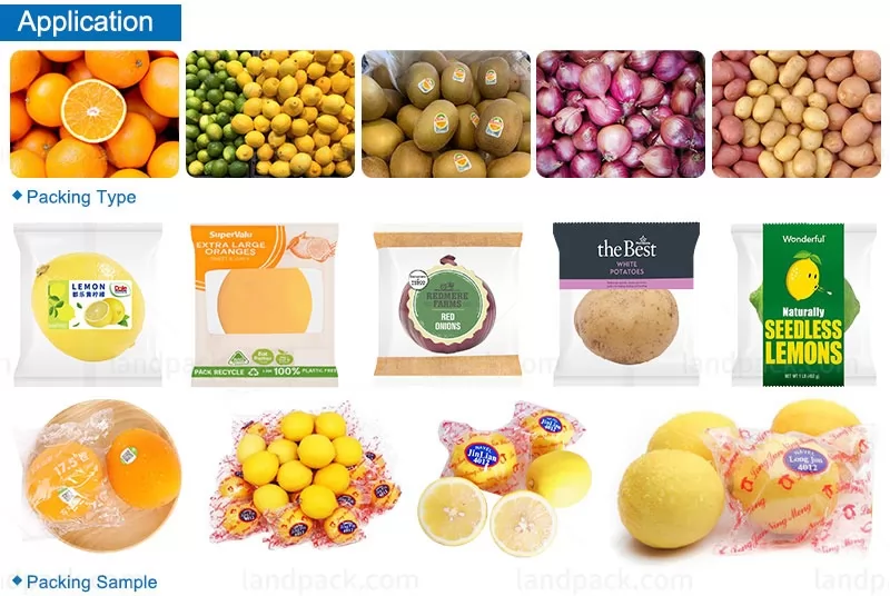 fruit packing machine