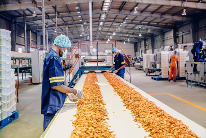 From Processing to Packaging: Ensuring Quality in Dried Fruits