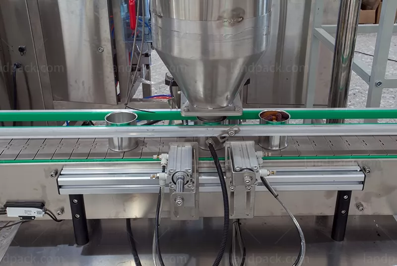 automatic nuts packing machine