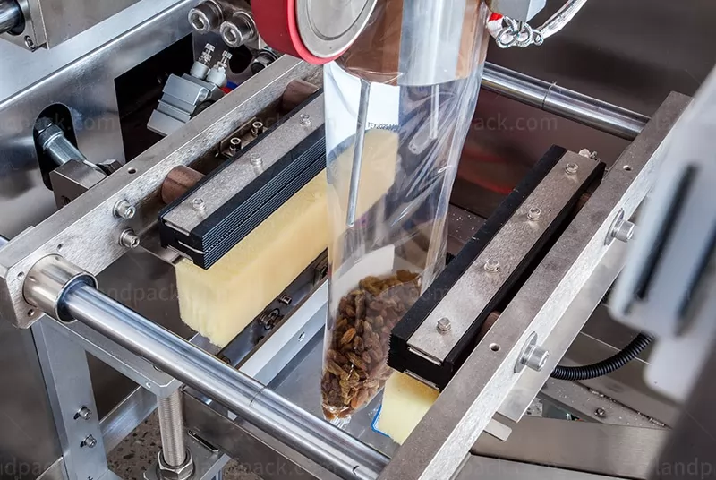 automatic pouch packing machine