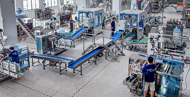 Horizontal Pouch Packing System