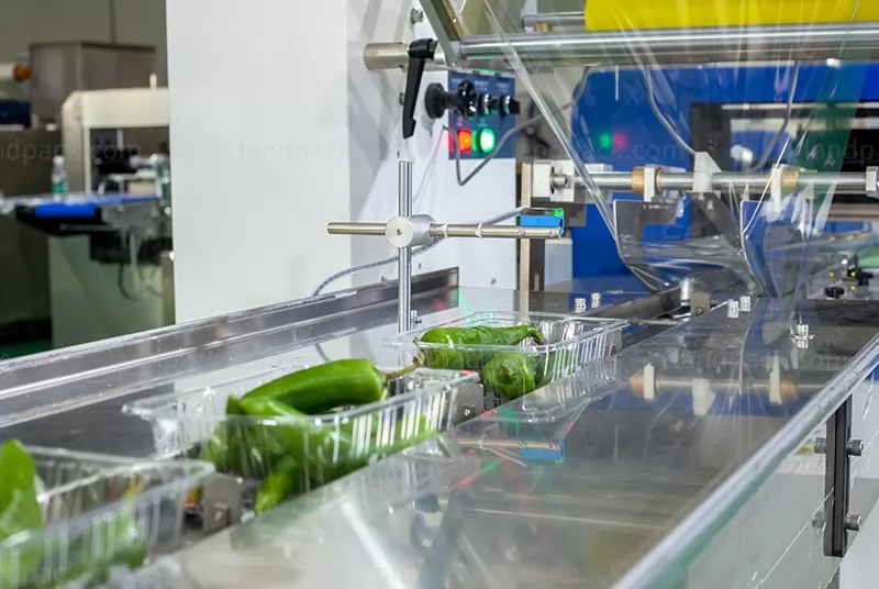 flow wrapping machine