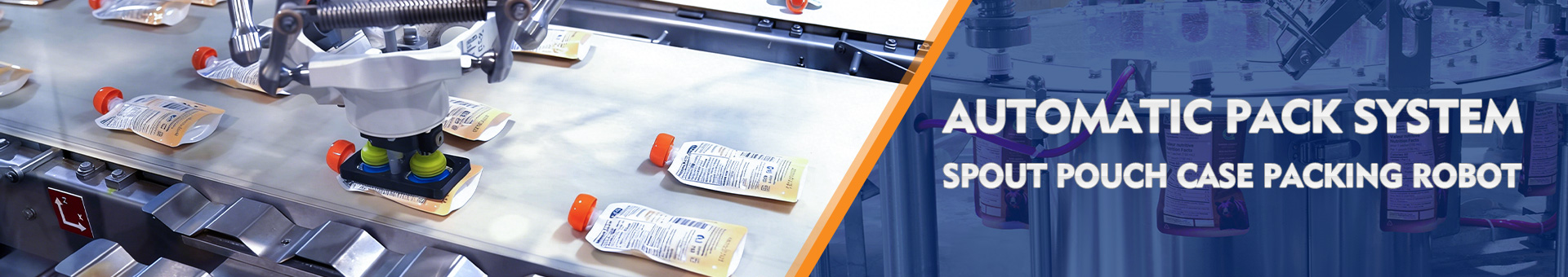 Spout Pouch Case Packing Robot