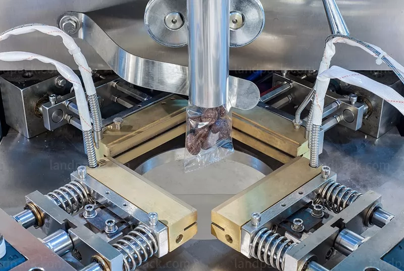 snack food packaging machine