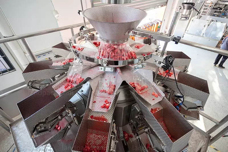 dry fruit packing machine price