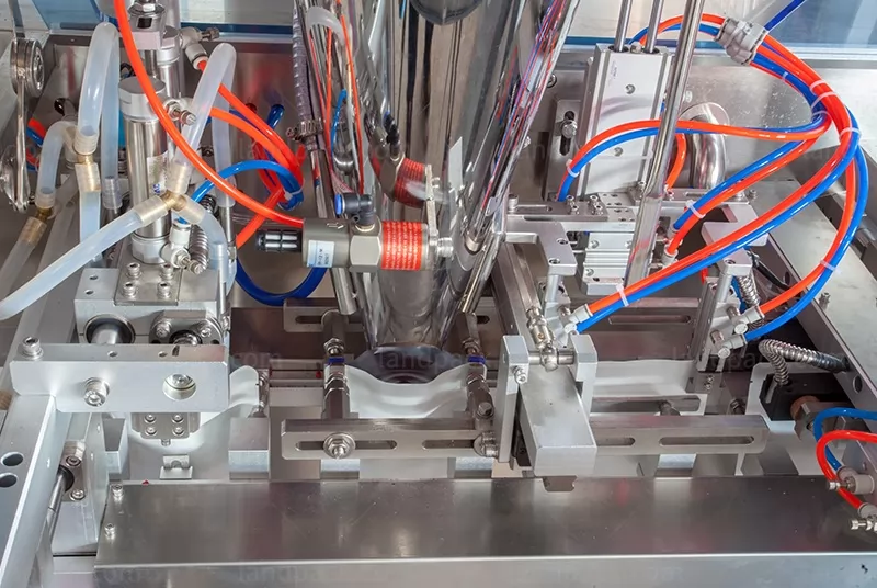 dry fruit vacuum packing machine