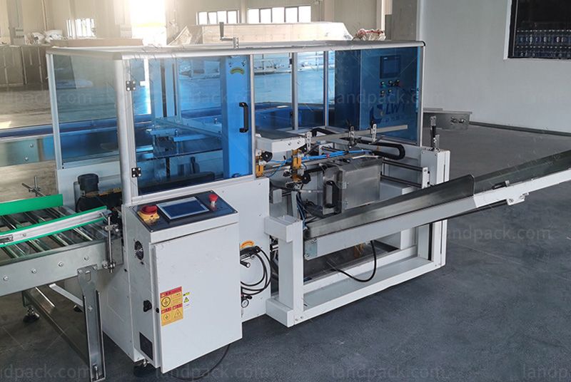 Automatic Premade Pouch Case Packing System With Robotic Palletizer
