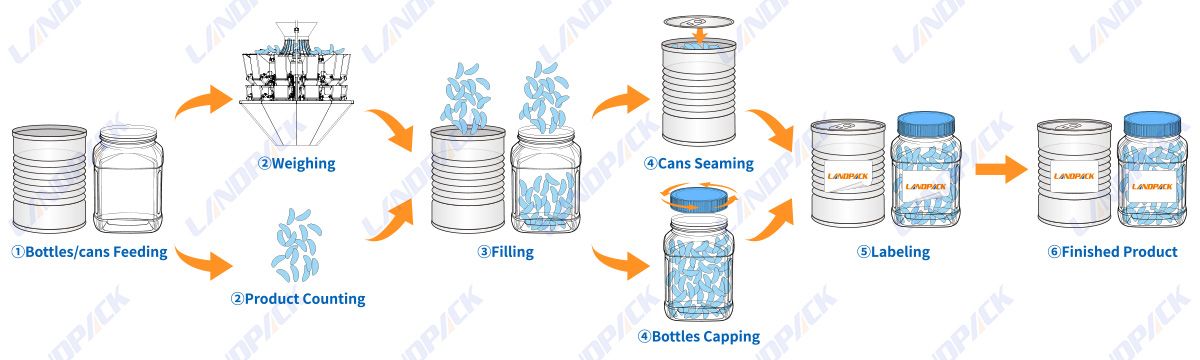 Fully Automatic Counting Packaging Machine For Gummy Bear