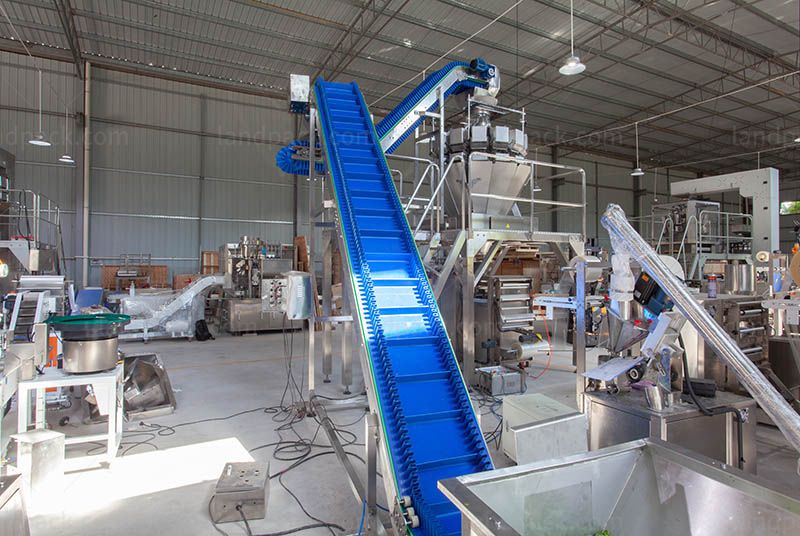 Automatic Ice Cubes Vertical Pouch Filling Weighing Packaging Machine