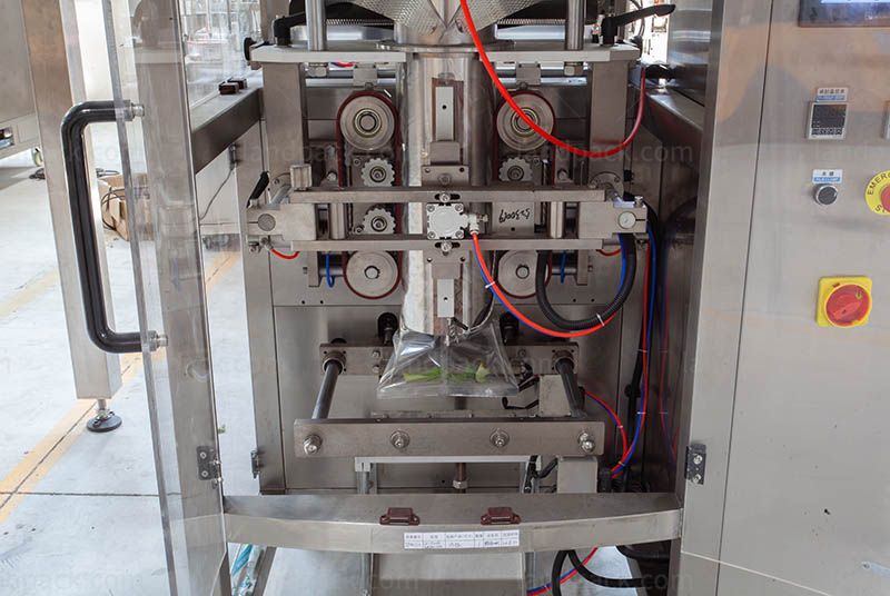 Automatic Ice Cubes Vertical Pouch Filling Weighing Packaging Machine