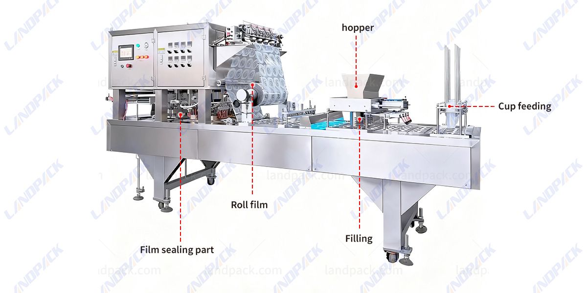 Fully Automatic Ice Cube Cup Filling Sealing Machine