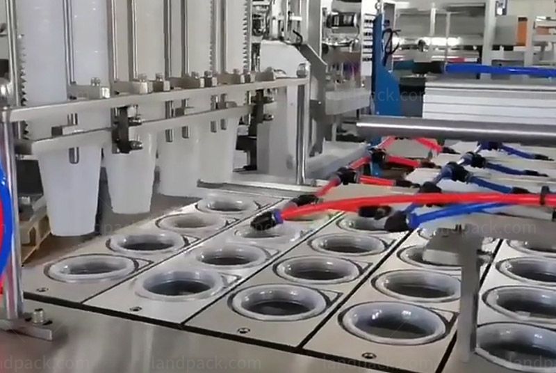 Fully Automatic Ice Cube Cup Filling Sealing Machine