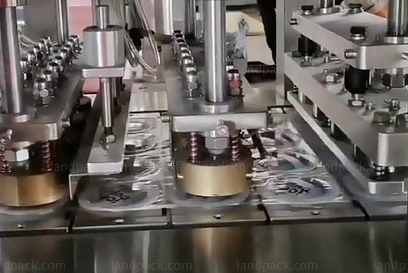 Fully Automatic Ice Cube Cup Filling Sealing Machine