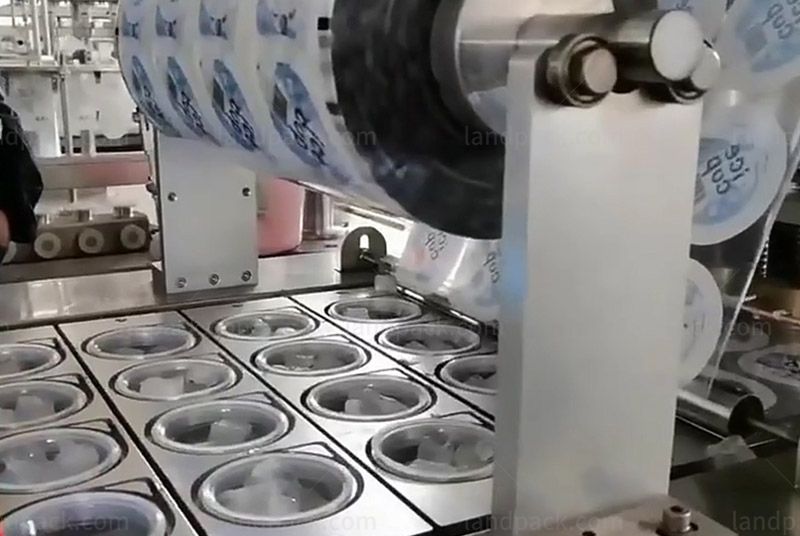 Automatic Ice Cube Filling Machine With Large Ice Maker