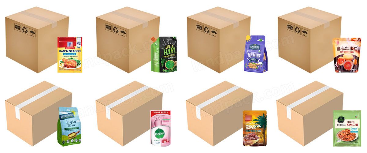 Bagging Cartoning Palletising System | Automatic Horizontal Pouch Packing System