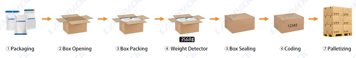 Bagging Cartoning Palletising System | Automatic Horizontal Pouch Packing System