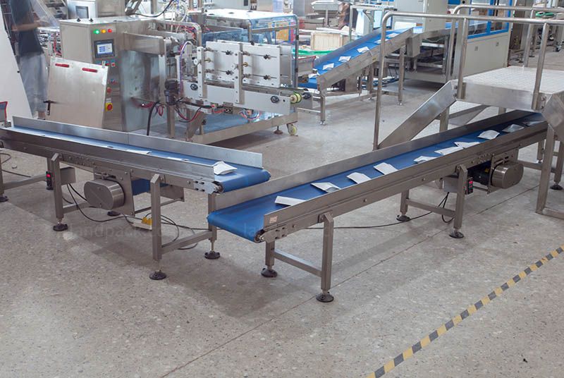 Bagging Cartoning Palletising System | Automatic Horizontal Pouch Packing System