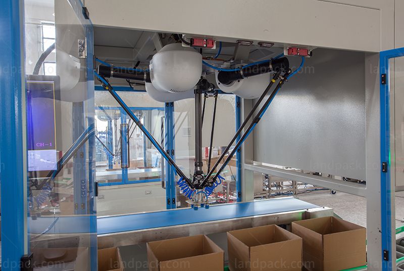 Bagging Cartoning Palletising System | Automatic Horizontal Pouch Packing System