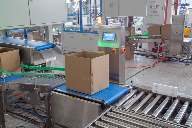 Bagging Cartoning Palletising System | Automatic Horizontal Pouch Packing System