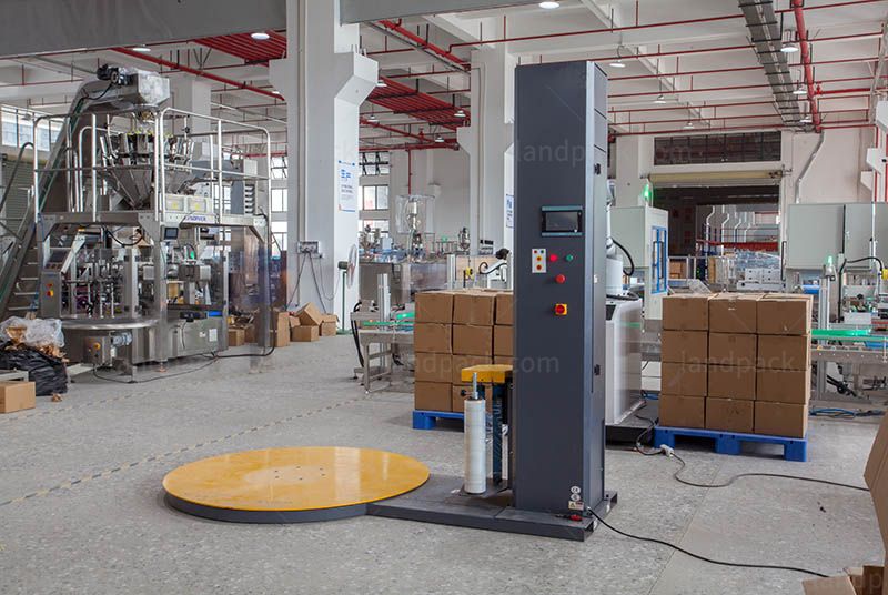 Bagging Cartoning Palletising System | Automatic Horizontal Pouch Packing System