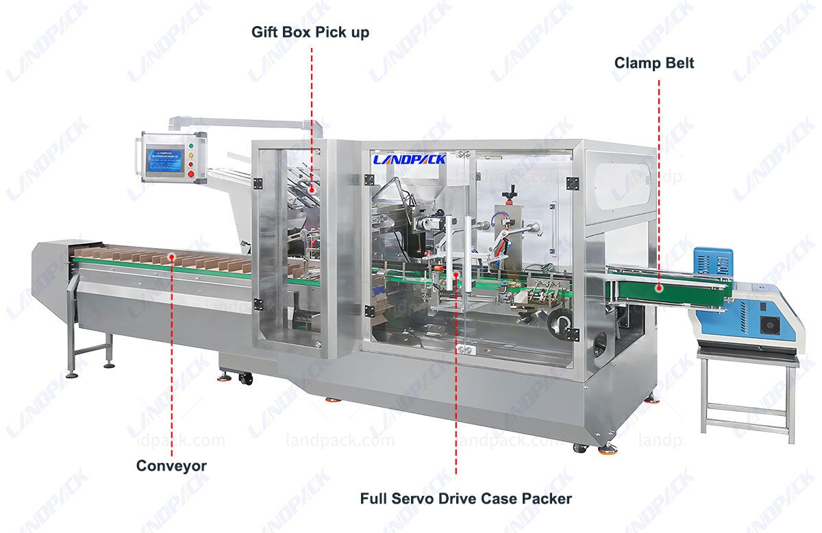 Cartoning Packing Machine | Automatic Pillow Type Box Packing Machine